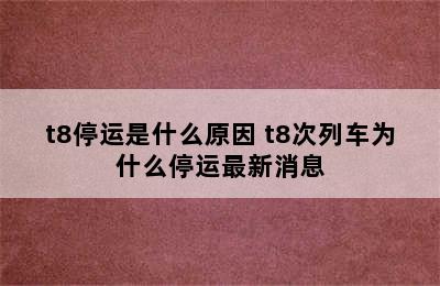 t8停运是什么原因 t8次列车为什么停运最新消息